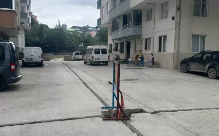 Arsin Yeşilyalı Mahallesi Lifon mevkisinde sokak ve cadde aydınlatma çalışmaları başladı