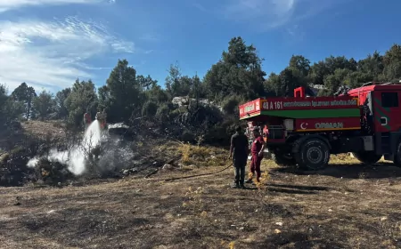 Seydikemer Yaylakaraçulha’da zirai arazide çıkan yangında 10 dönüm otluk ve makilik alan zarar gördü