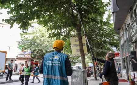 Van Büyükşehir Belediyesi kent genelindeki ağaçlarda bakım ve budama çalışmalarını sürdürüyor
