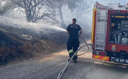 Milas Kemikler Mahallesi’nde zeytinlik alanda yangın çıktı, havadan ve karadan müdahaleyle kontrol altına alındı