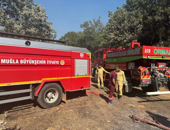 Muğla Yaraş’taki Orman Yangınında Hayvanlar İçin Acil Müdahale Aracı Sahaya Sevk Edildi