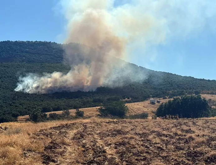 Eskişehir Mihalıççık’ta orman yangını: Yayla Mahallesi yakınlarına iki söndürme helikopteri sevk edildi