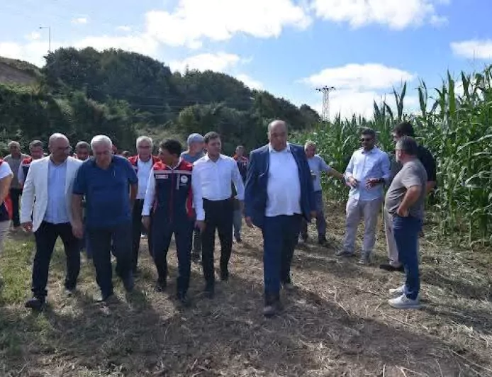 Beykoz’da yerli “Kale” ve “Aga” silajlık mısır çeşitlerinin üretim sonuçları tarlada incelendi
