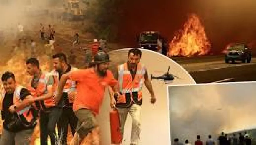 Seydikemer Paşalı Mahallesi’nde yol kenarından zirai alana sıçrayan yangında 5 bin metrekare alan zarar gördü