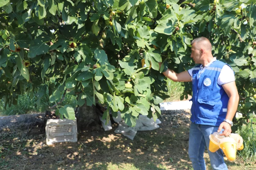 Muğla Büyükşehir Belediye Başkanı Ahmet Aras: “Üreticimizin emeğini ve toprağımızı korumaya devam edeceğiz”