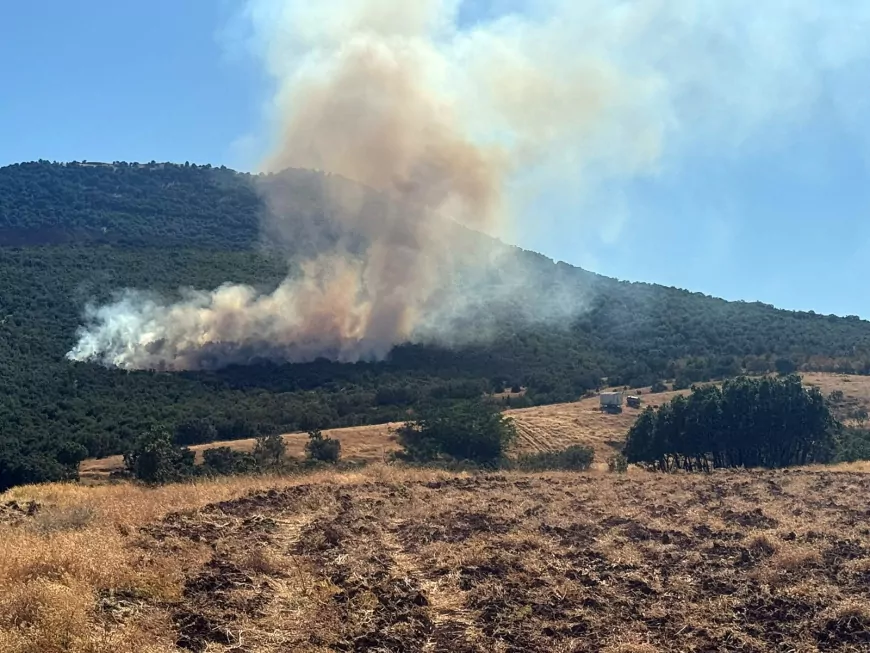 Eskişehir Mihalıççık’ta orman yangını: Yayla Mahallesi yakınlarına iki söndürme helikopteri sevk edildi