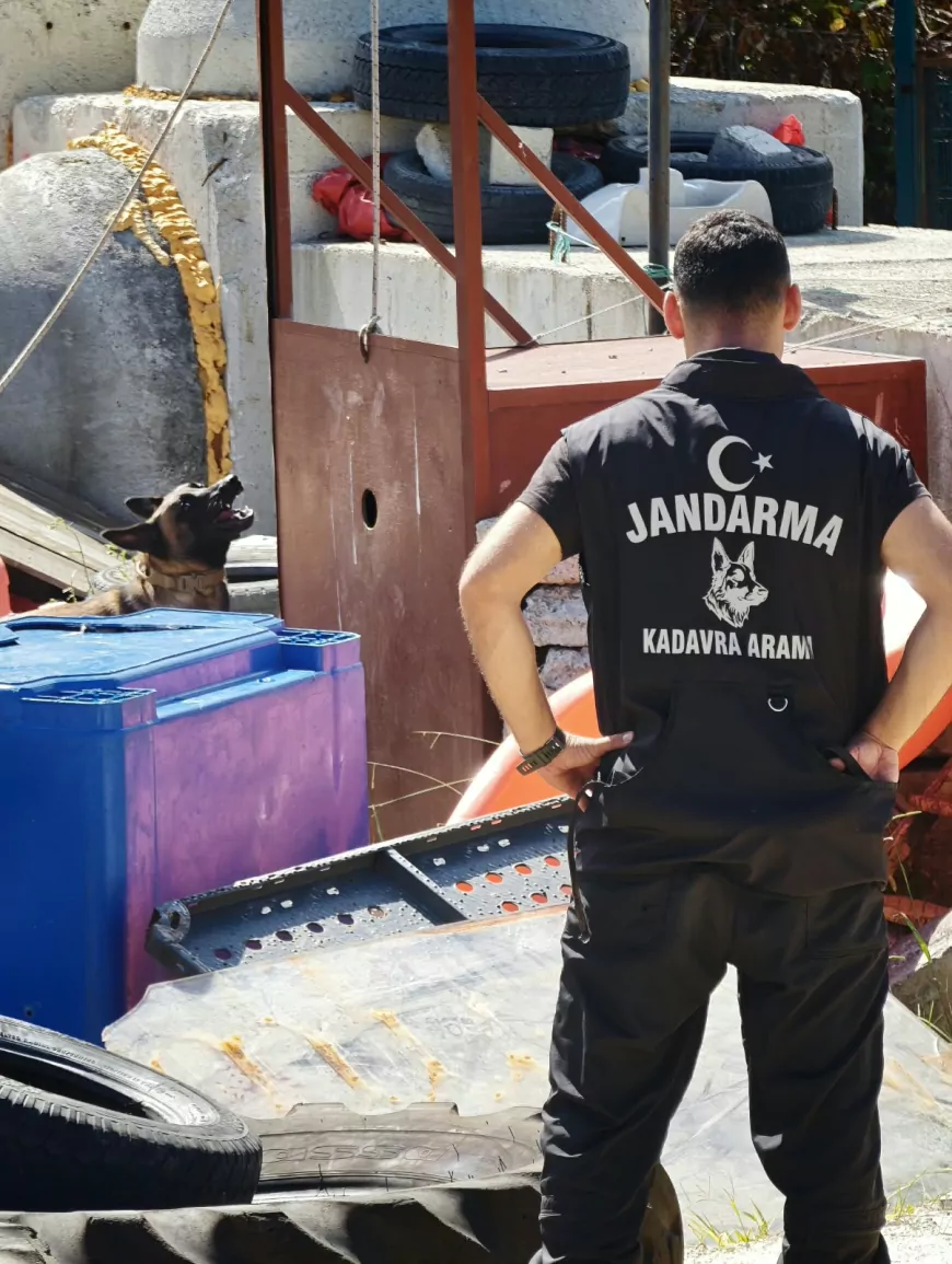 Trabzon arama köpeklerinin eğitim üssü oldu: 20 kurumdan 70 K-9 enkaz parkurunda çalıştı