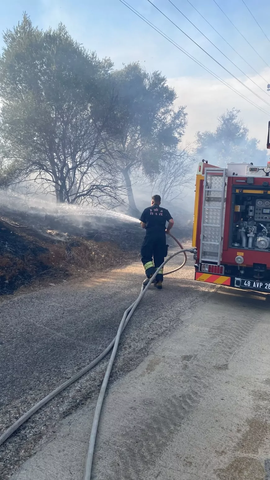 Milas Kemikler Mahallesi’nde zeytinlik alanda yangın çıktı, havadan ve karadan müdahaleyle kontrol altına alındı